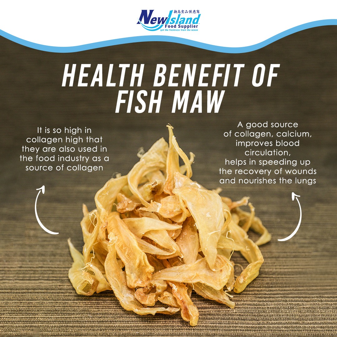 Introduction to Fish Maw